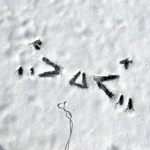 想看看中国最黄的大片儿黄色录像怎么操逼强奸的强暴
